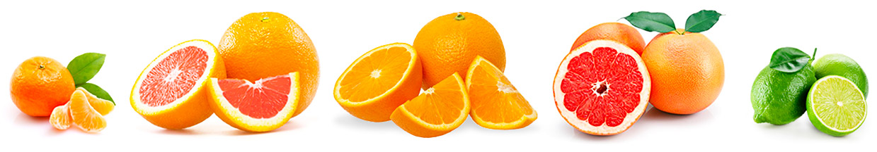 Orange Ingredients